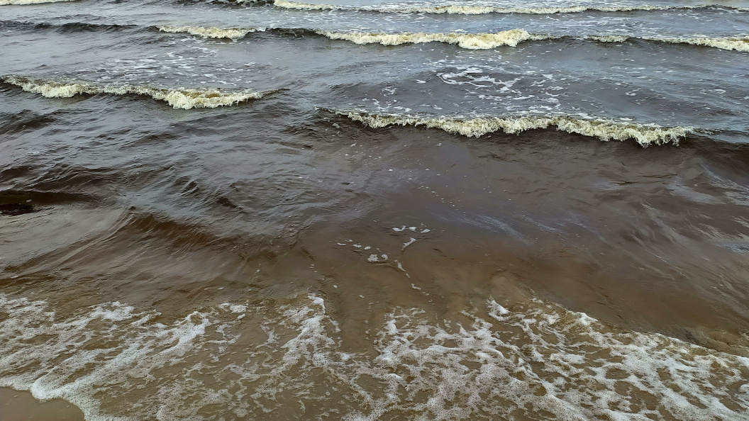    фото: Victor Lisitsyn, Виктор Л/Global Look Press