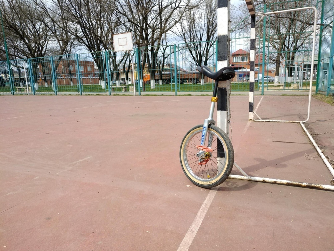 Knight Chalenger 20" custom