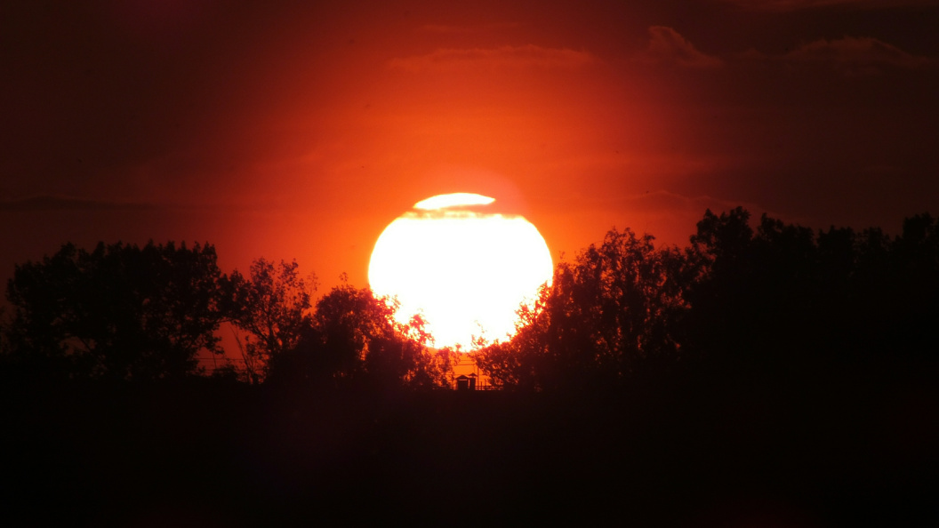    Фото: Victor Lisitsyn/Globallookpress