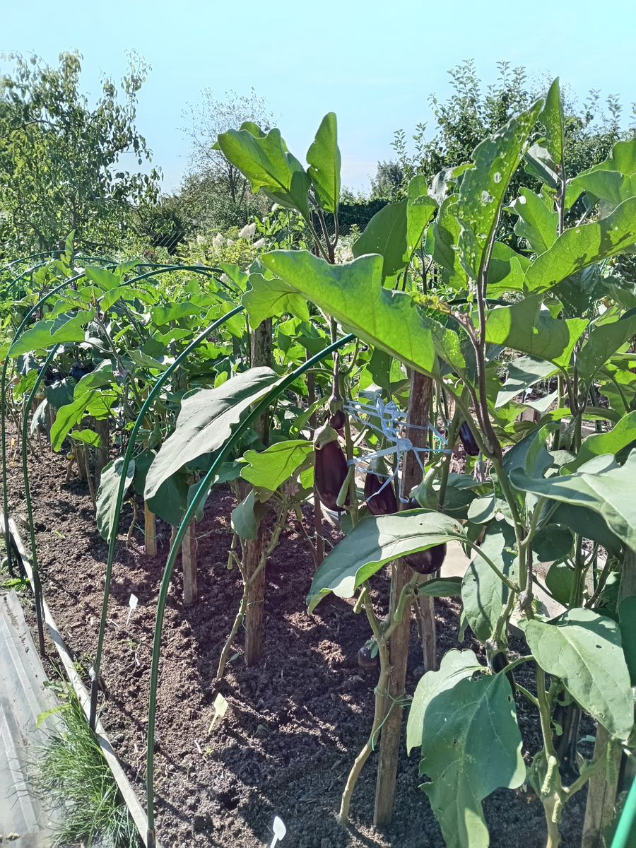 ВИД ГРЯДЫ С СЕВЕРНОЙ СТОРОНЫ.