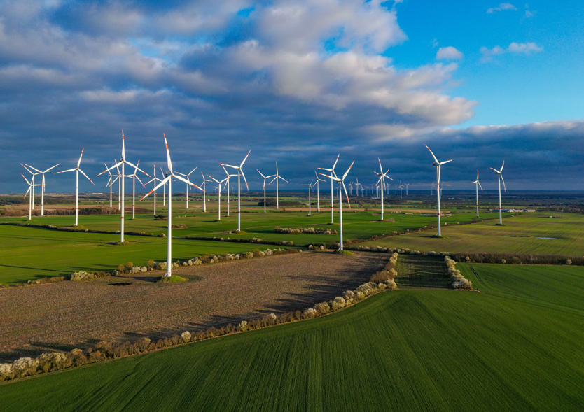    Фото: Patrick Pleul / DPA / Global Look Press