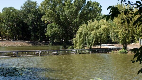    © Администрация Симферополя