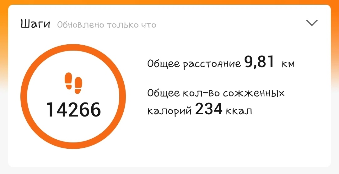 Пройденные шаги