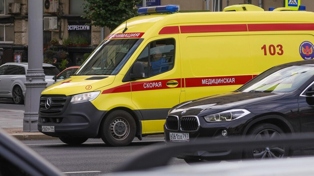    Фото: Shatokhina Natalia/Globallookpress