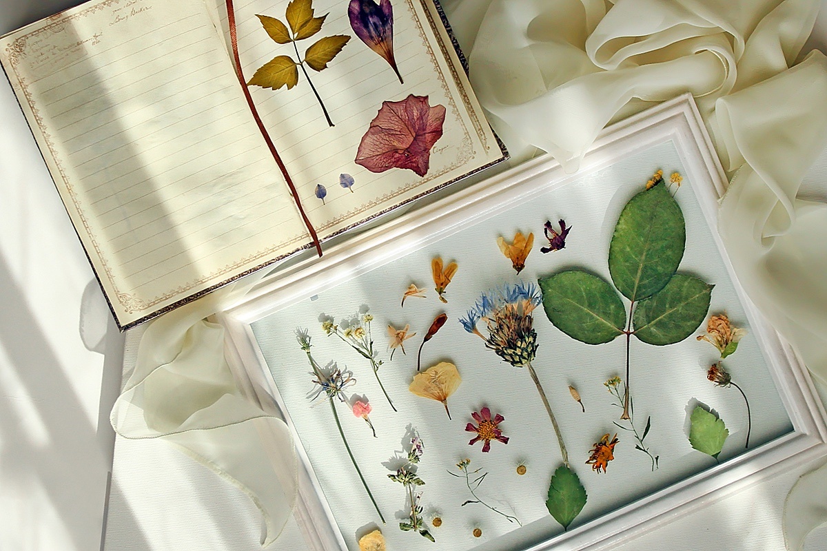 zatvornik / Shuttersock / FOTODOM📷Гербарий, оформленный в рамку