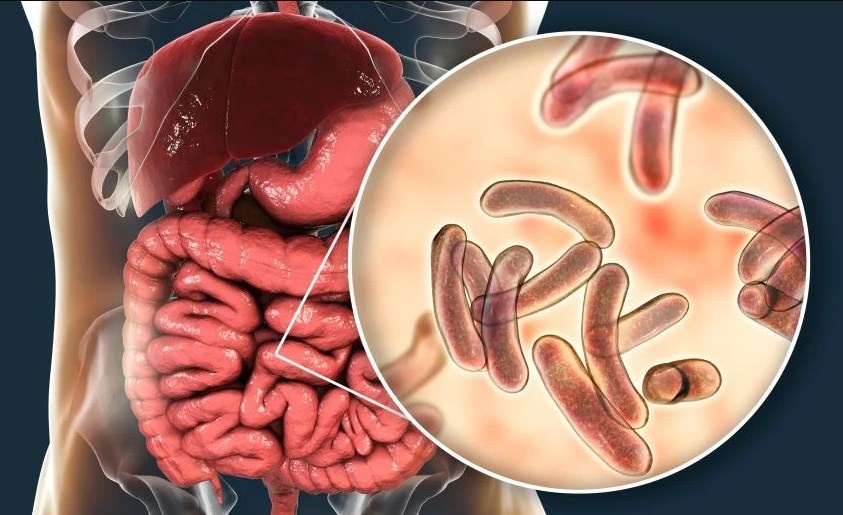 Источник изображения: https://aqmeshit-aptalygy.kz/wp-content/uploads/2025/05/img-20250508-wa0276.webp