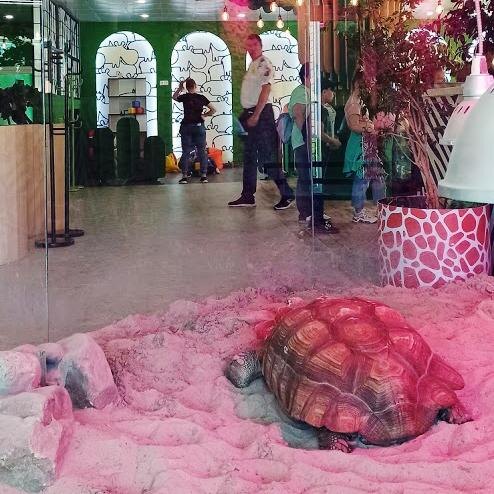 Фото взято с сайта зоопарка 