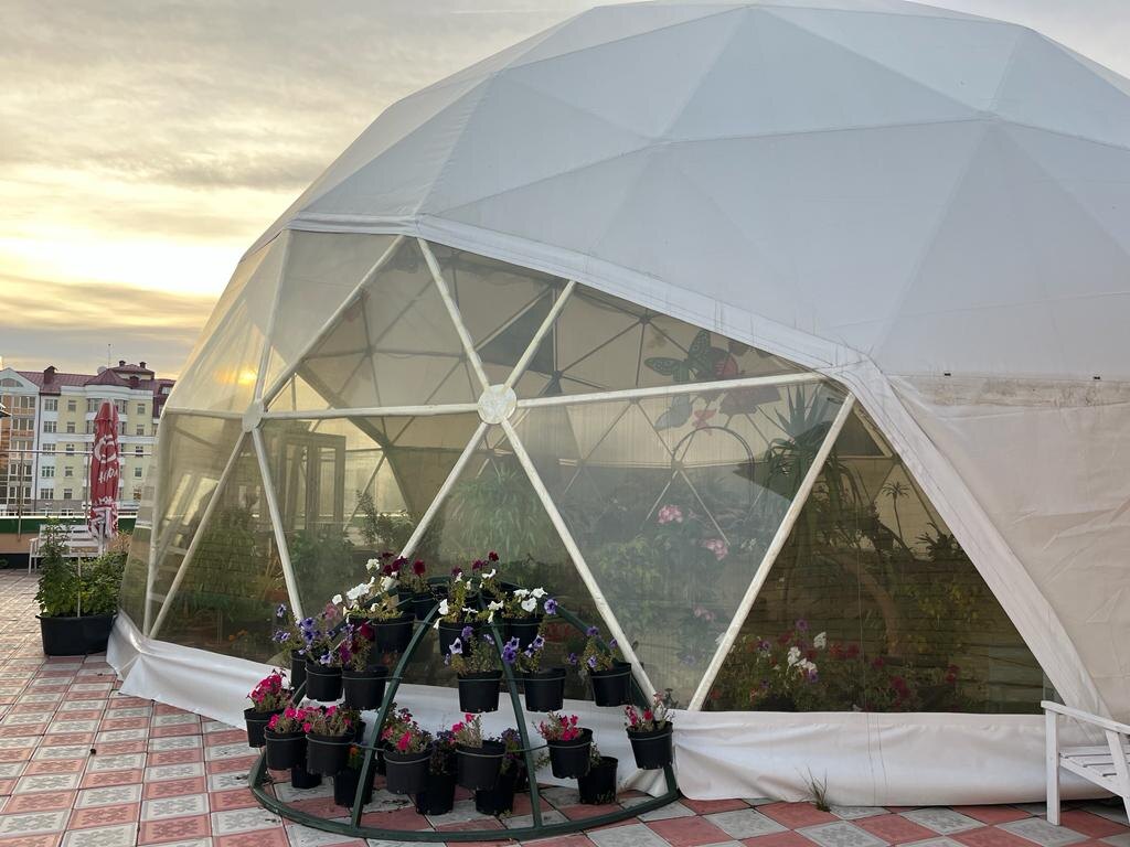 Фото помещения - купола и бабочек (фото взяты с сайта зоопарка) 