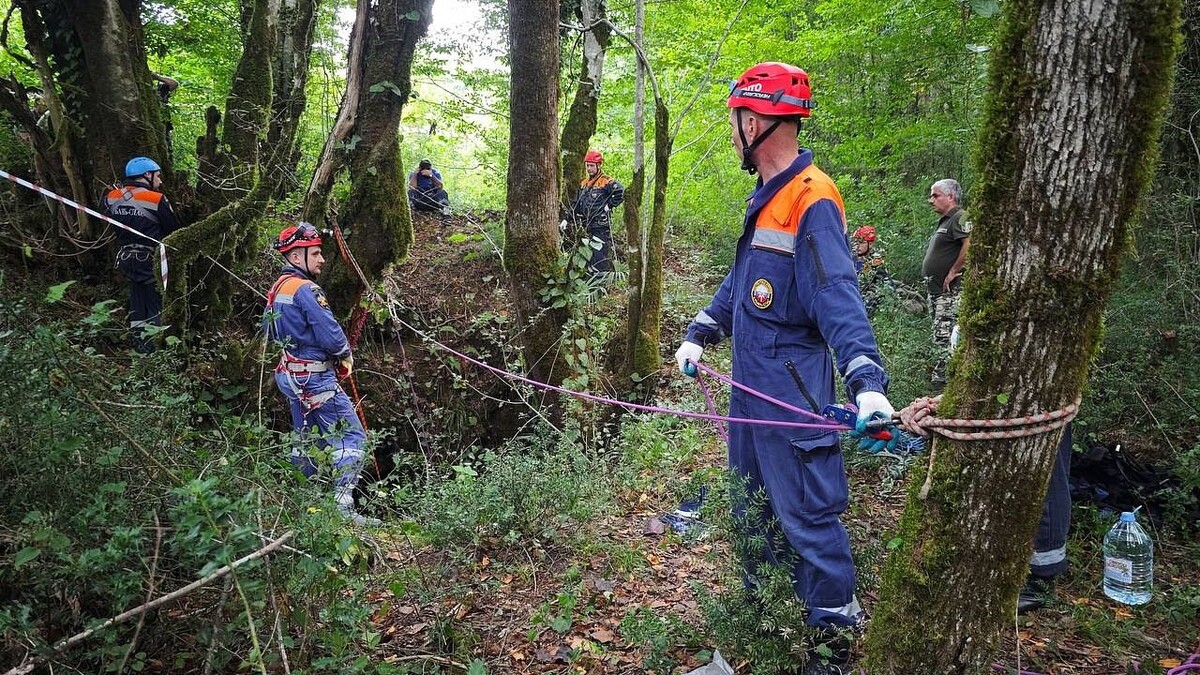    Фото: t.me/officialsochi