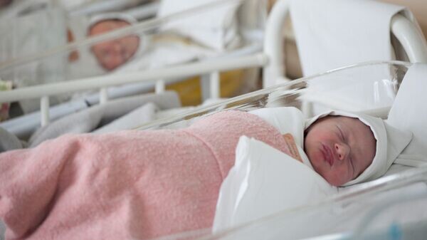    © Sputnik / Сергей Лескеть