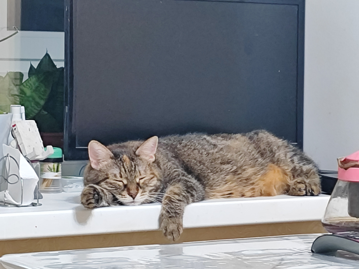 Матюся. Уйди, старушка, я в печали.