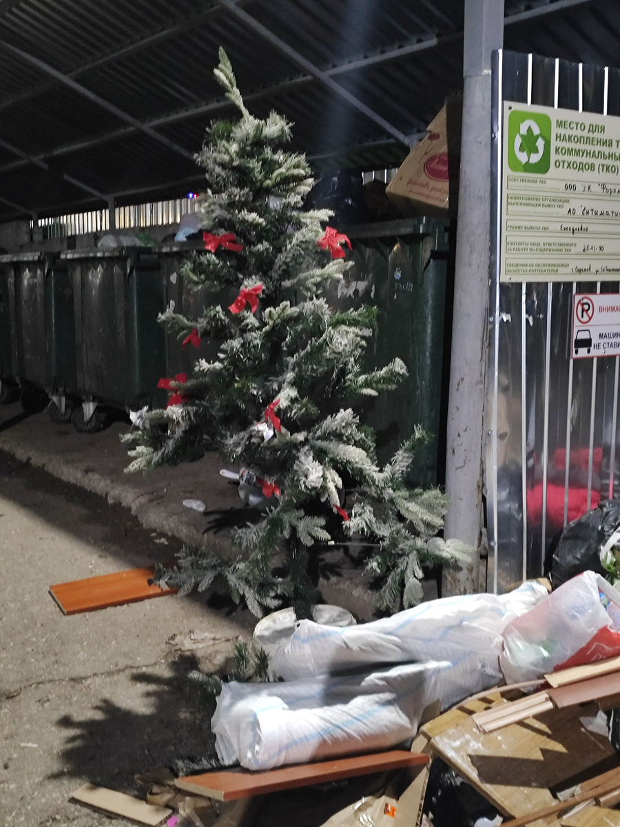 Ёлку вынесли!