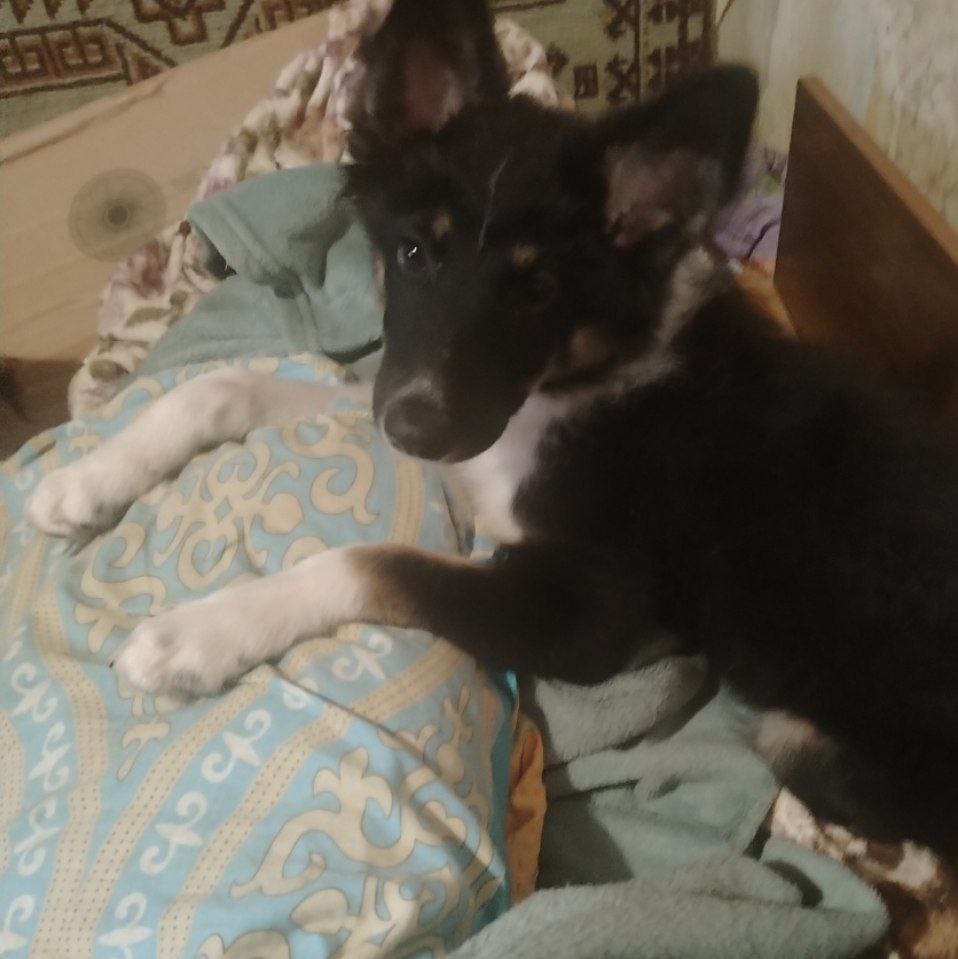 Луша сейчас 