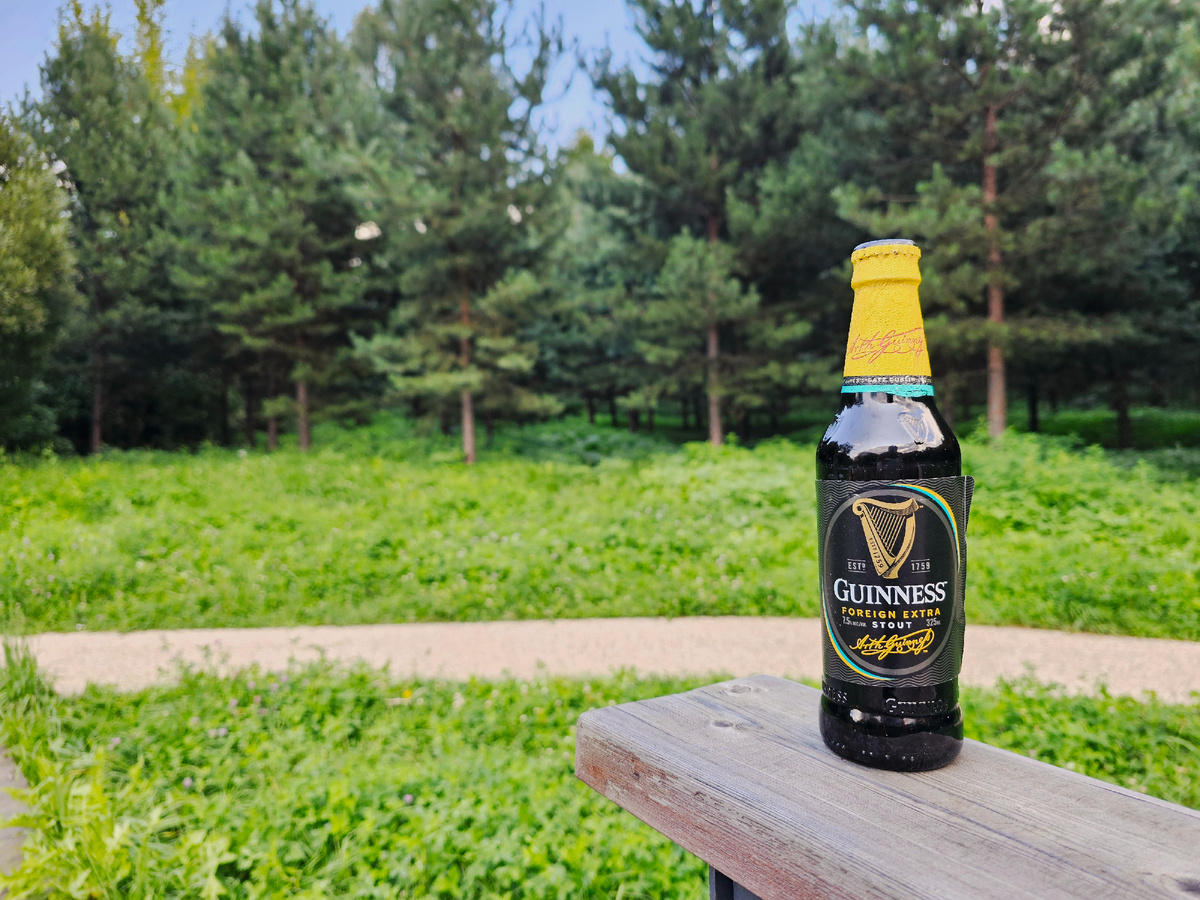 Guinness Foreign Extra Stout, фото автора