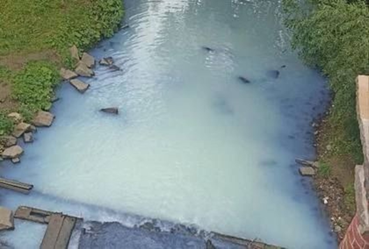    Фото: ТГ-канал "Злой Екатеринбург"