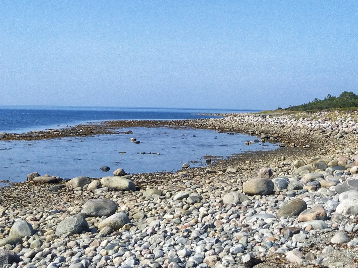 Мыс Кеньга. Фото автора