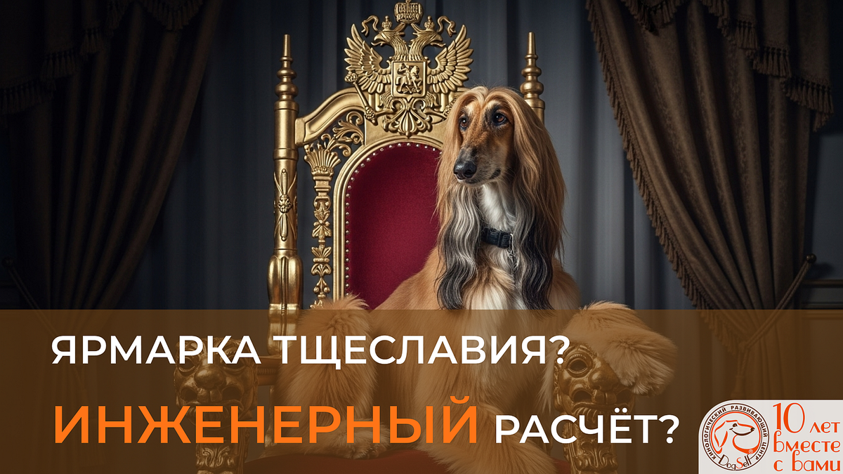 Сатирическая иллюстрация к статье о выставках собак: афганская борзая в образе аристократа сидит на троне, метафора стереотипа о «ярмарке тщеславия». Фото: DogSelf.