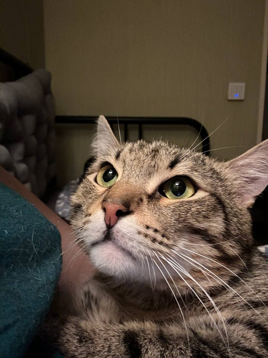 Про меня, про меня. да??