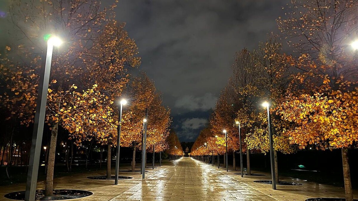    Фото: телеканал «Краснодар»