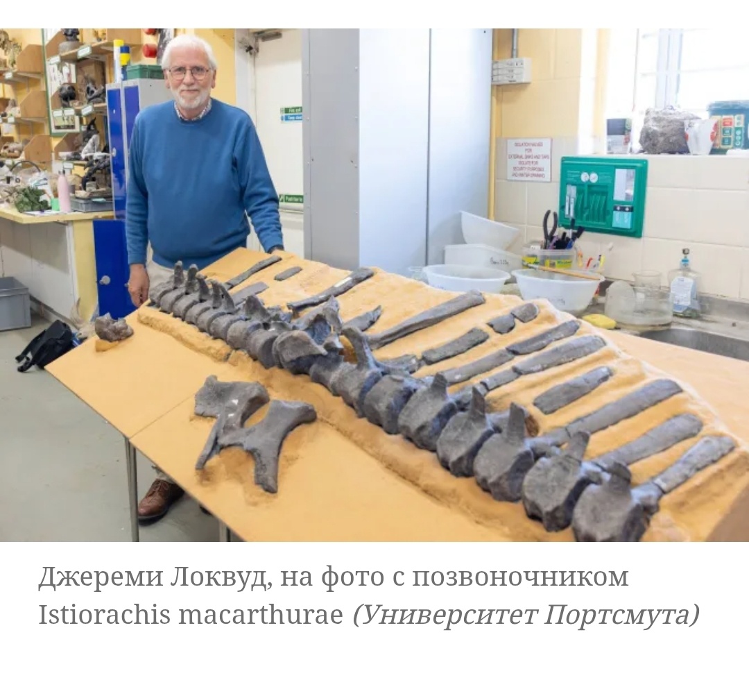 Кости уникального динозавра Istiorachis macarthurae