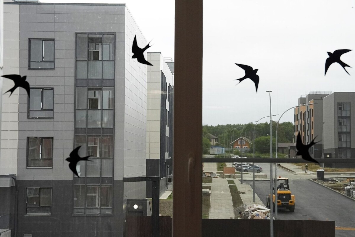     / Источник: © ИЗВЕСТИЯ/Павел Волков