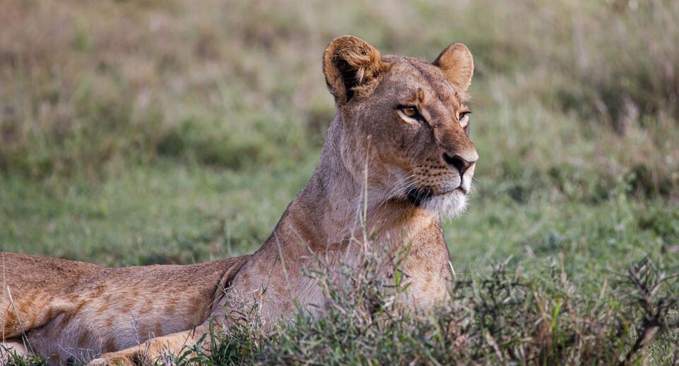    Boniface Muthoni/Keystone Press Agency / www.globallookpress.com