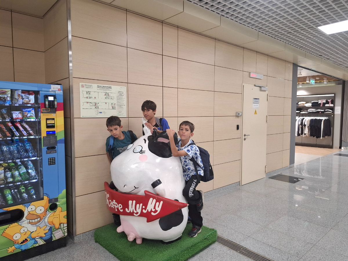 В Домодедово