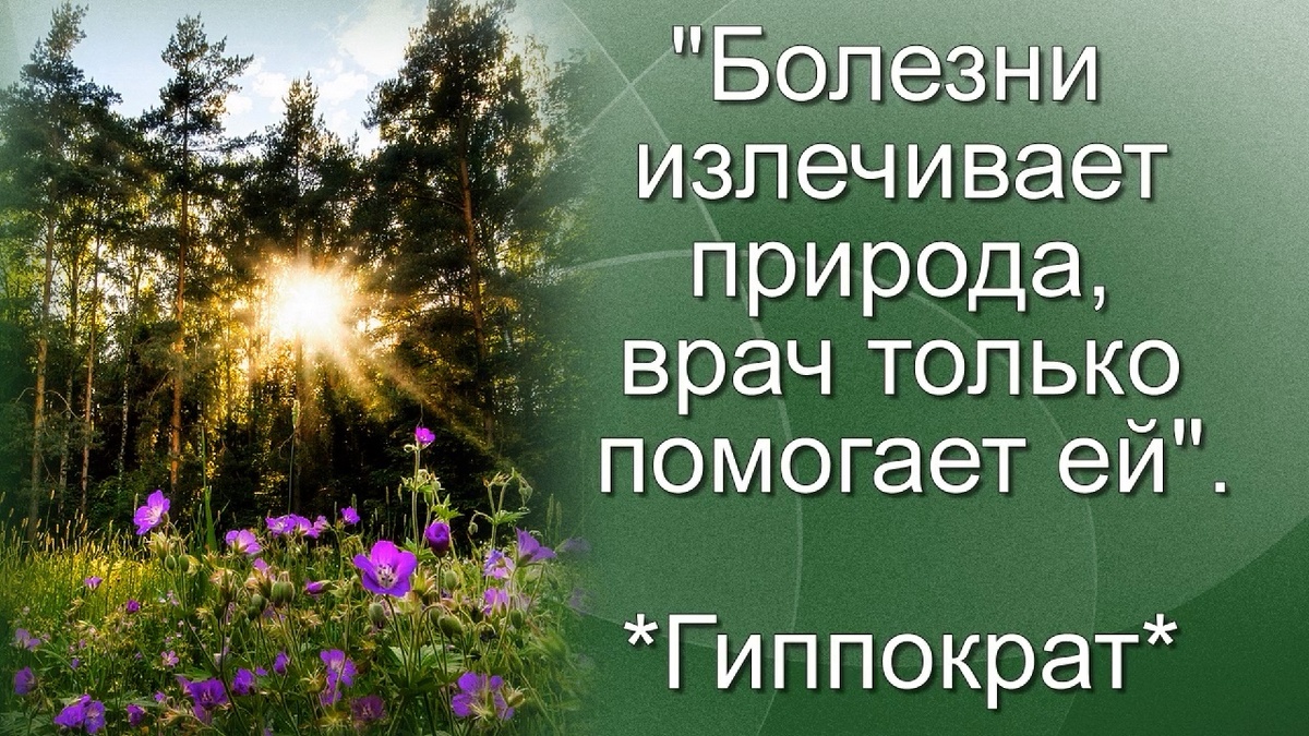 Коллаж при помощи картинок из свободного доступа сети Интернет