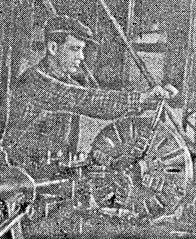 По-стахановски трудится токарь нефтепромысла Катанли тов. Красило.