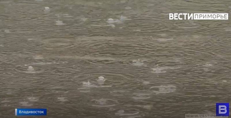    Источник фото: "Вести: Приморье", Администрация Владивостока