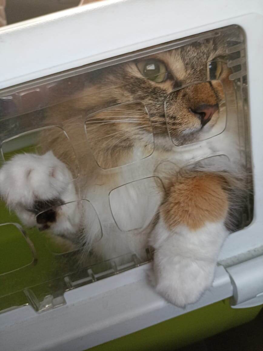 Чувствуете весь драматизм ситуации?)) 