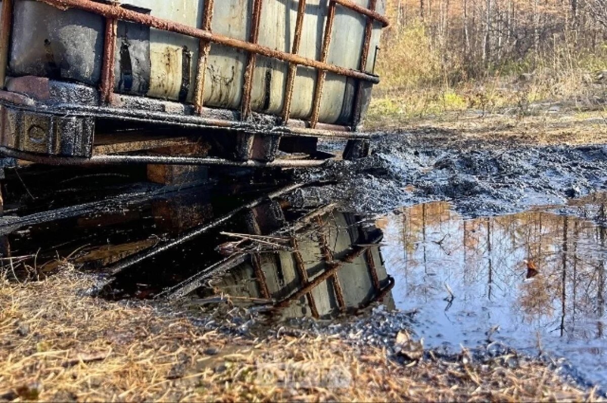    Суд обязал министерство Хабаровского края убрать нефтяное пятно в лесу