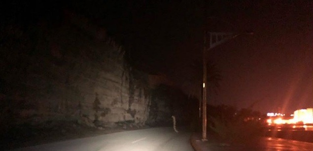 Загадочное существо на фото. (Фото: ufospace.net).