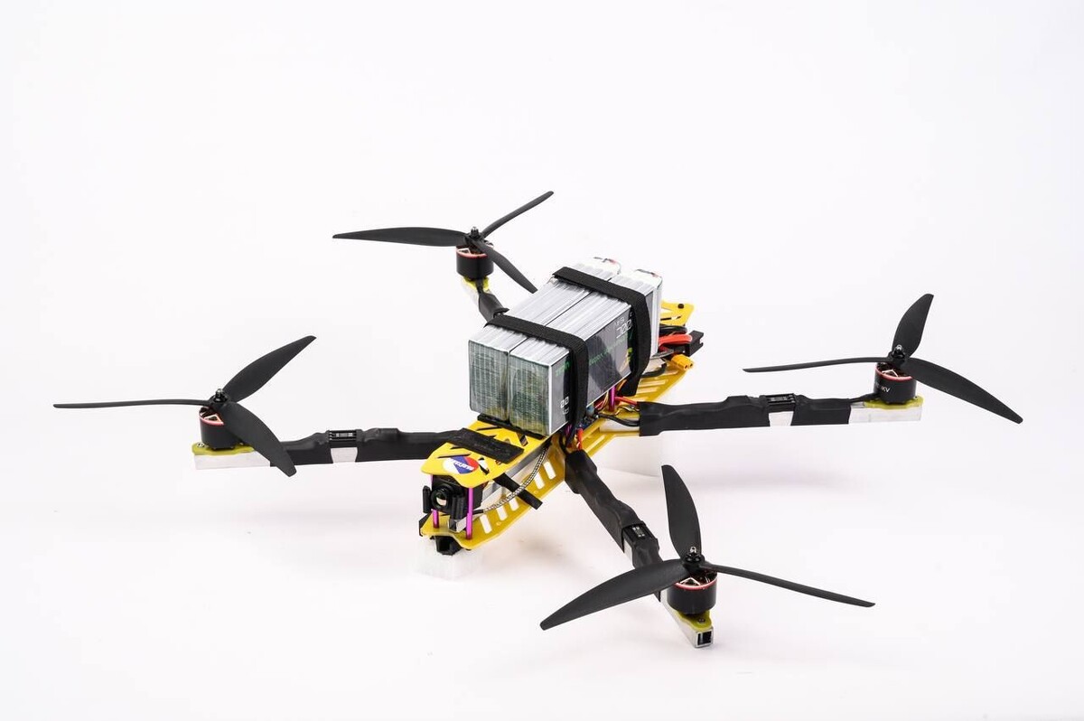    Фото: Telegram-канал Александра Осипова