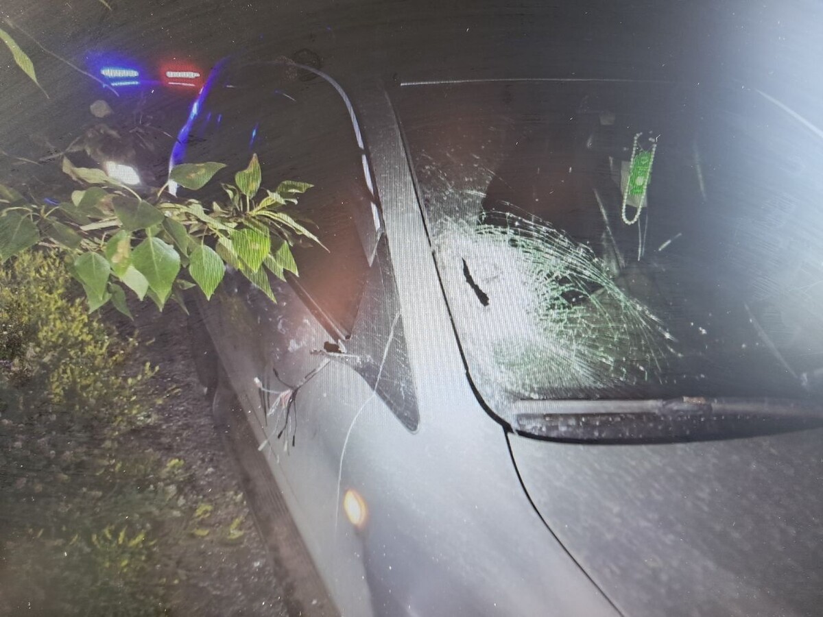    Фото: Госавтоинспекция Забайкалья