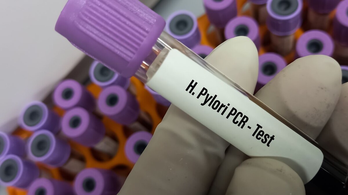 «Мина замедленного действия в желудке»: врач эндоскопист объясняет, как бактерия-хищник доводит до рака — и как её обезвредить 