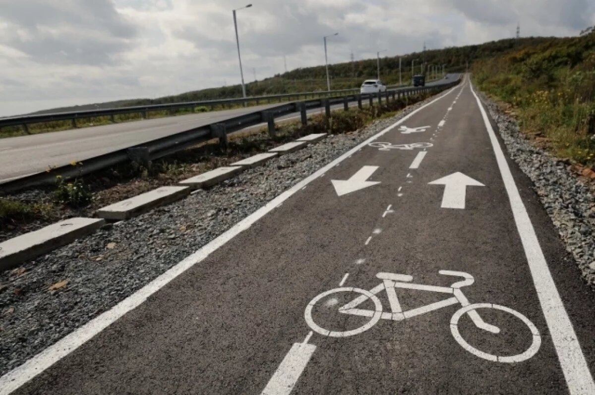    Выбран подрядчик для обустройства велотропы на острове Русский