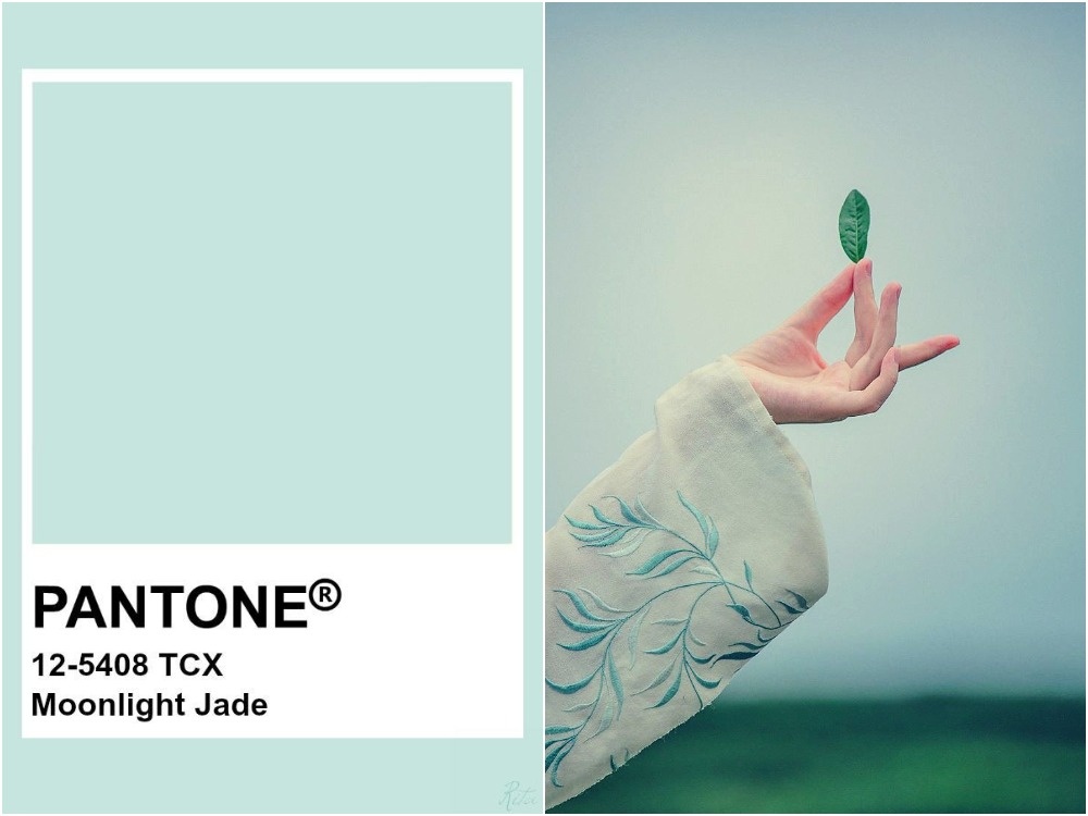 2. Pantone Moonlight Jade. Поэтическое представление о сборе чая.