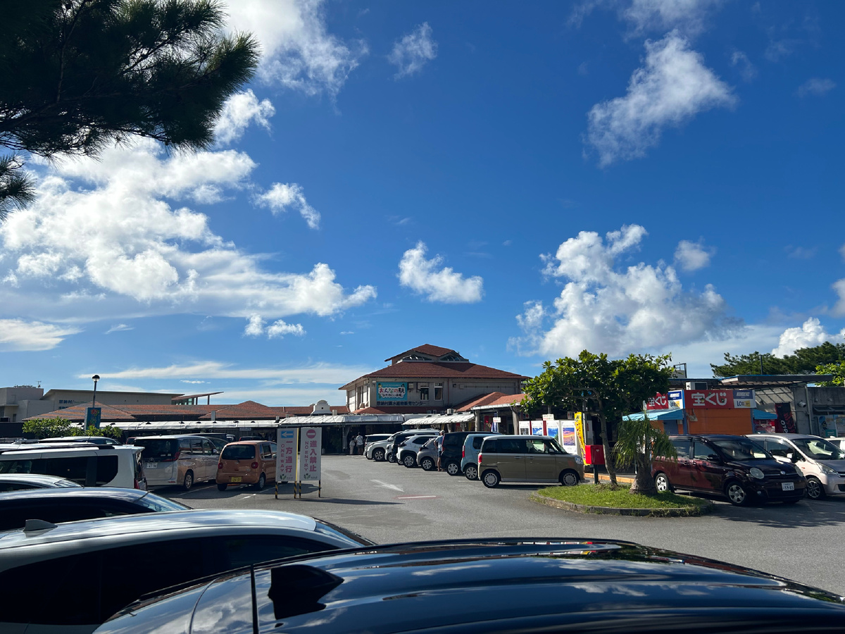 Станция окружена парковками.