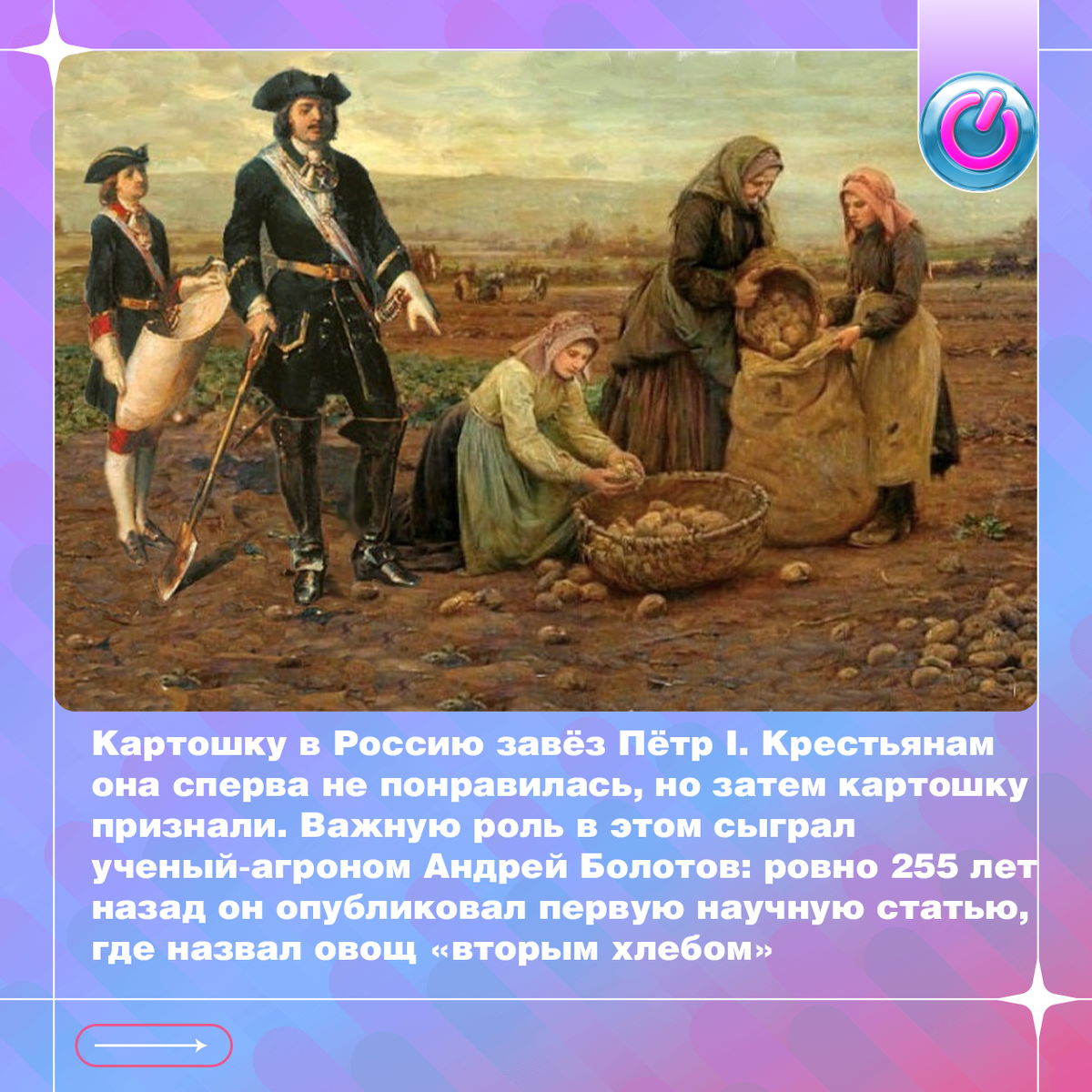 Картошку в Россию завёз Пётр I. Идея её принудительного посева крестьянам сперва не понравилась, по стране прокатились «картофельные бунты», но затем, благодаря сытности, картошку признали. Важную роль в этом сыграл ученый-агроном Андрей Болотов: ровно 255 лет назад (1770 г.) он опубликовал первую научную статью, где назвал овощ «вторым хлебом». Так в русскую речь вошло слово «картофель»