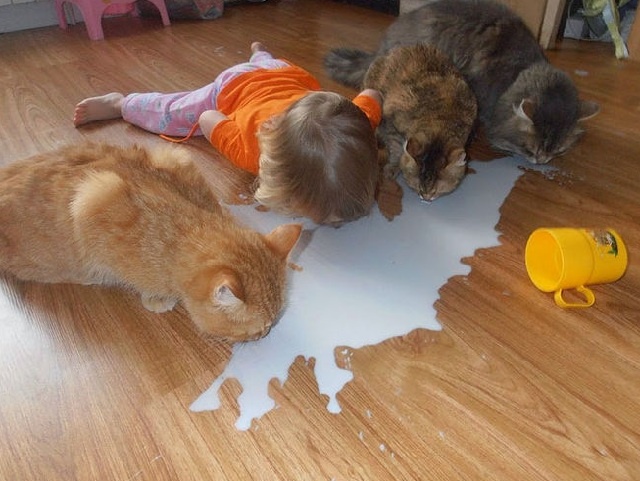 100% поднимет настроение: 25 фото малышей и животных с самыми радостными эмоциями