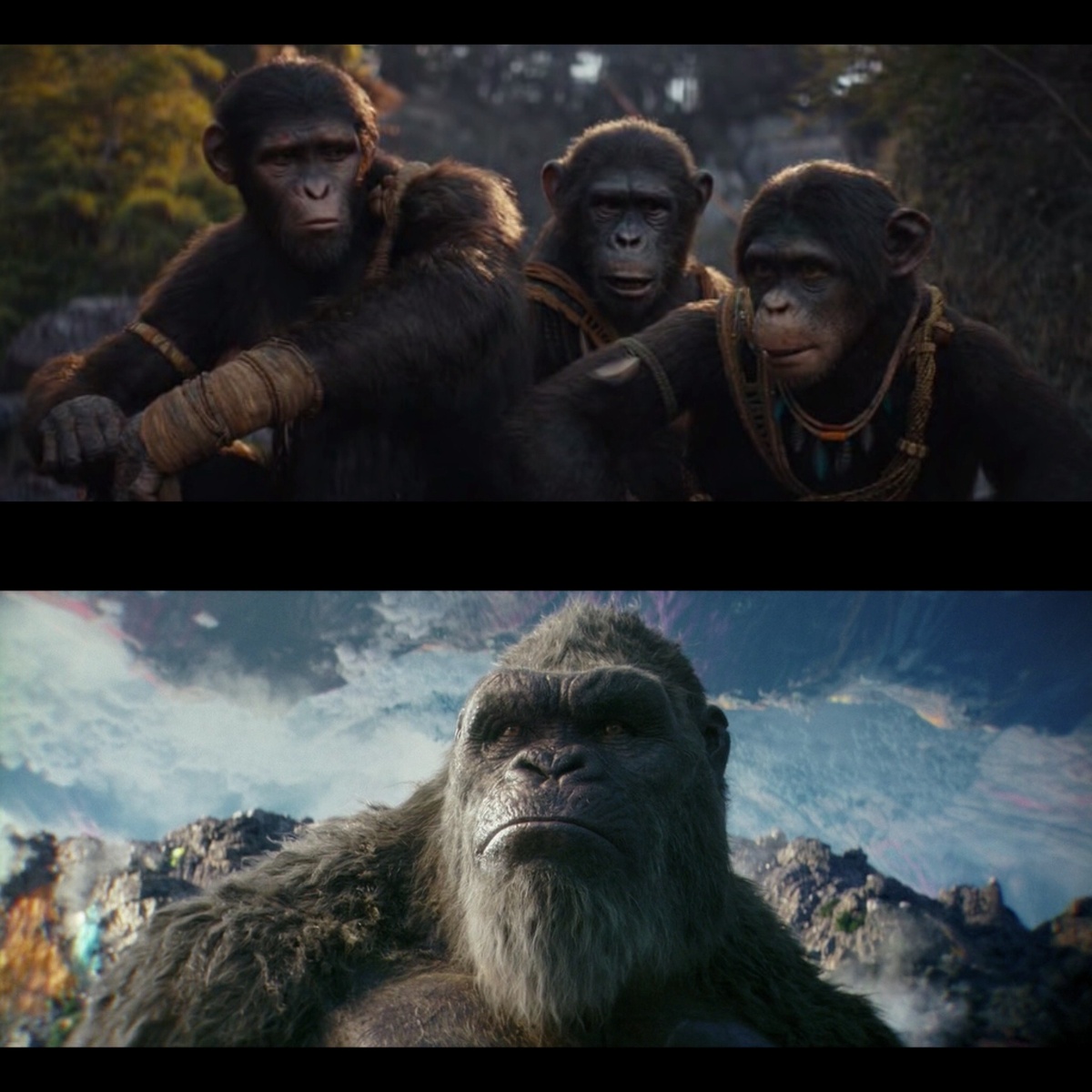 "Планета обезьян 4"/ "Годзилла и Конг 2"