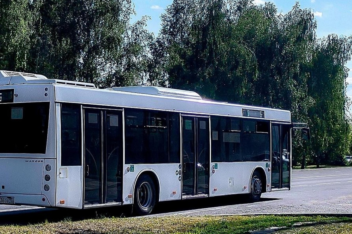    Фото: info-rm.com, источник:ООО «МЕДИА ДОМ»