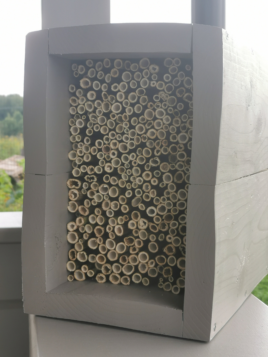 Новое деревянное общежитие, окрашено и  укомплектовано дудником. Заселение планируется с апреля 2026 г.