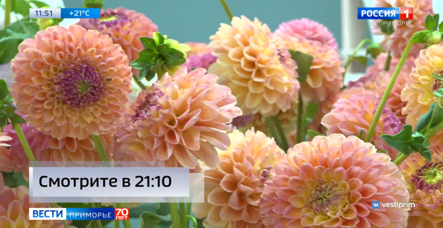    Источник фото: