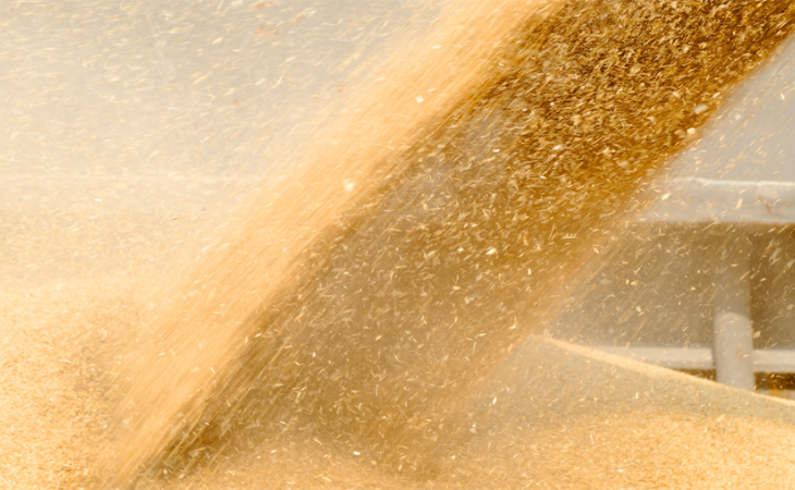 Фото:. ЦОК АПК