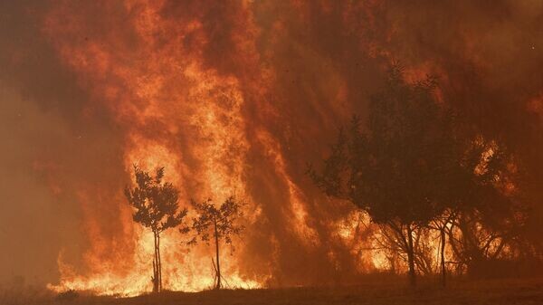    © AP / Pablo Garcia