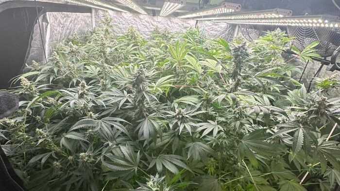    Омская полиция