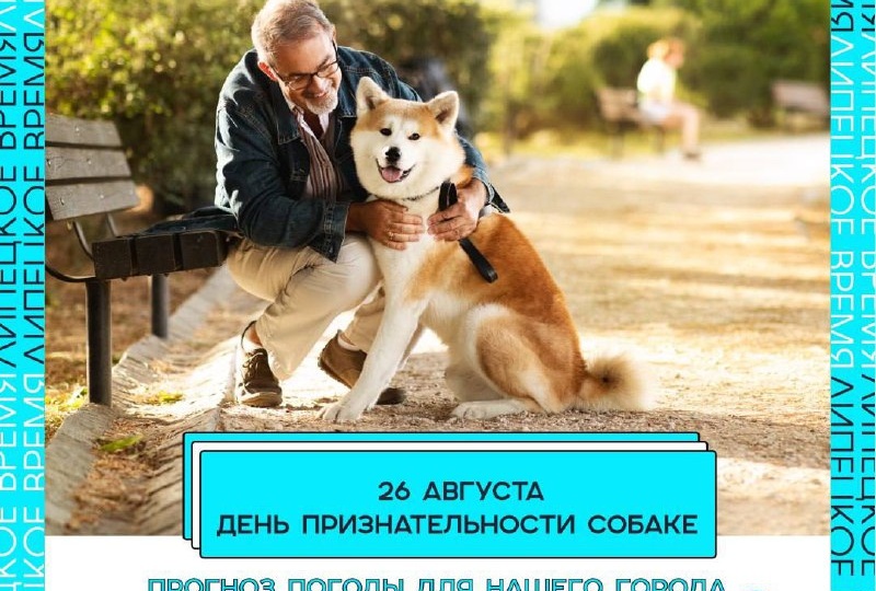 🐶Сегодня отмечается День признательности собаке 🐾 — праздник, когда мы говорим «спасибо» нашим четвероногим друзьям за верность и помощь