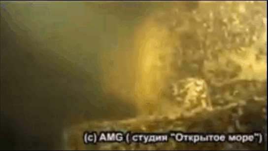 БТ-5 был обнаружен на глубин 14 метров